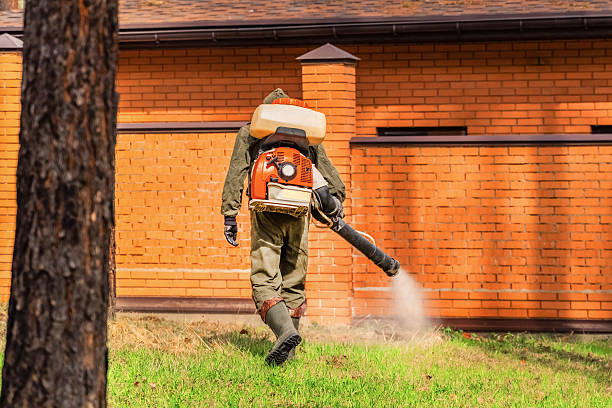 Bed Bug Clearance Verification and Documentation in Barnesville